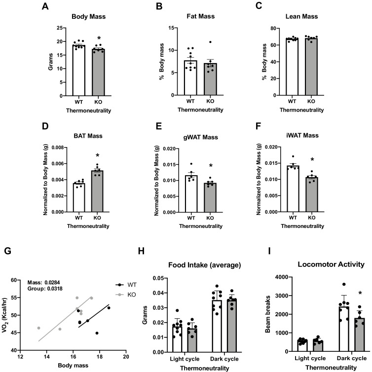 Figure 1—figure supplement 2.