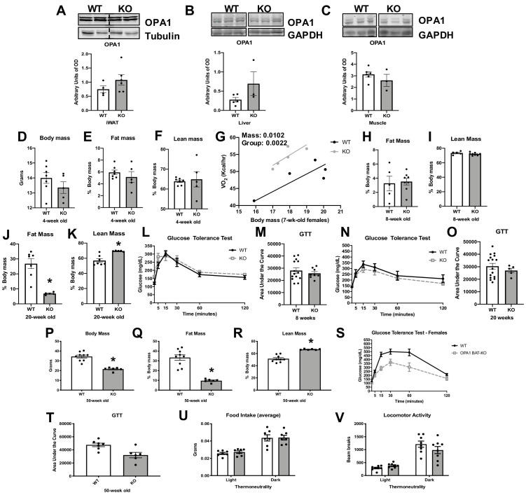 Figure 1—figure supplement 1.