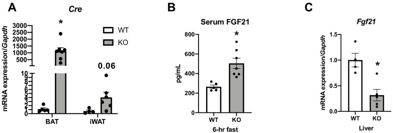 Figure 3—figure supplement 1.