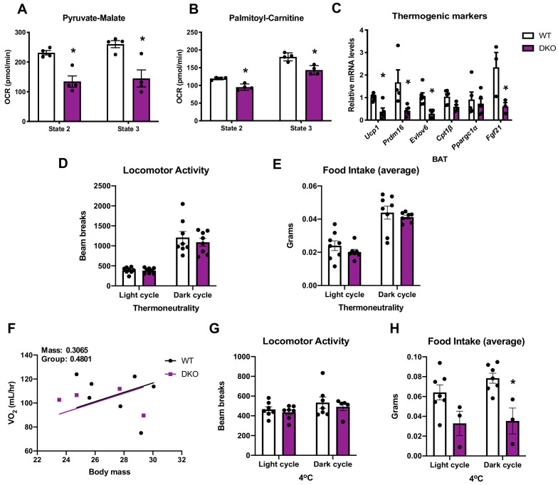 Figure 4—figure supplement 1.