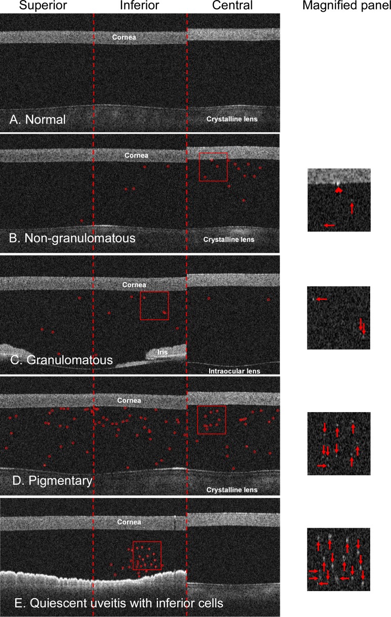 Figure 3. 