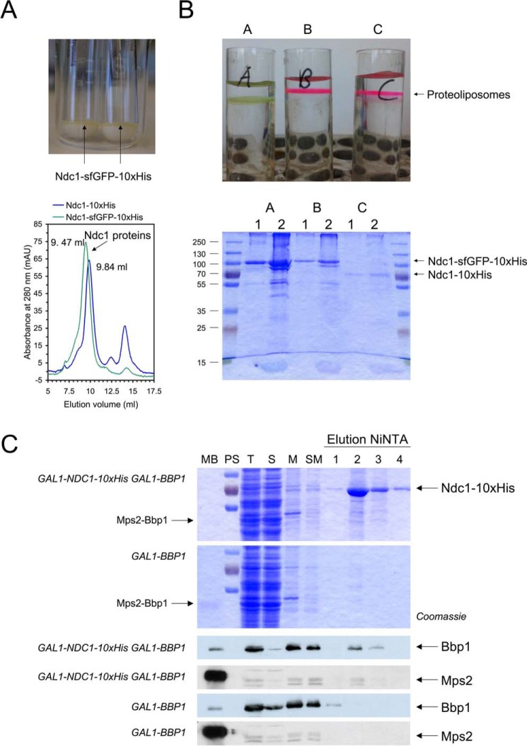 Figure 4.