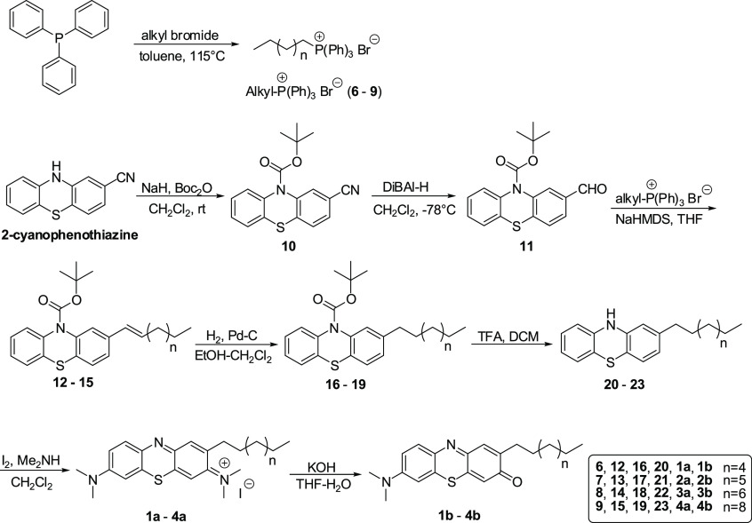 Scheme 1