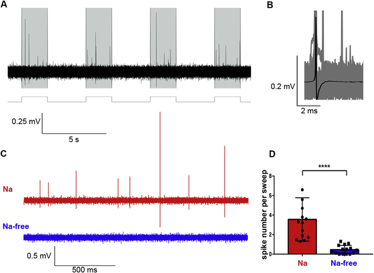 Fig. 2.