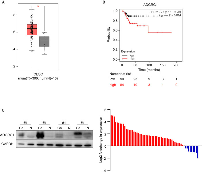Figure 3