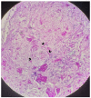 FIGURE 3: