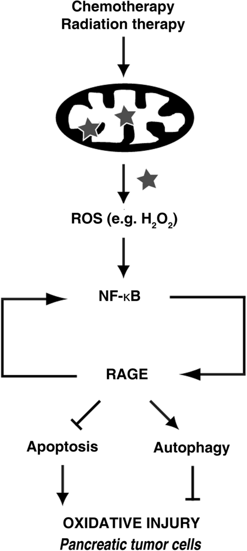 FIG. 6.