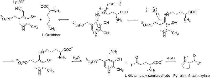 Scheme 2