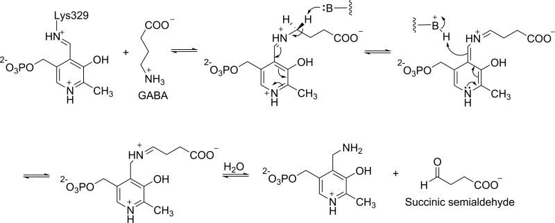 Scheme 3