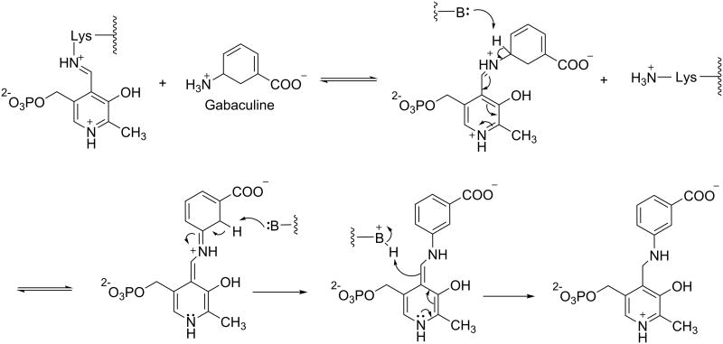 Scheme 6