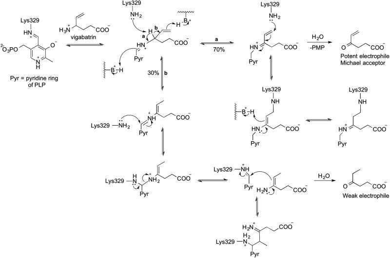 Scheme 5