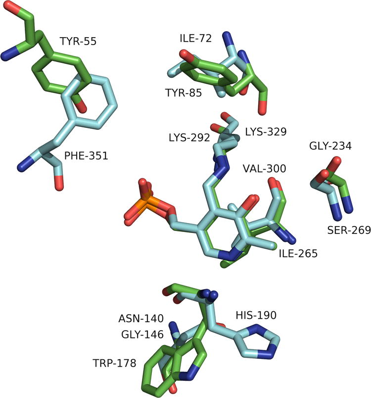 Figure 5