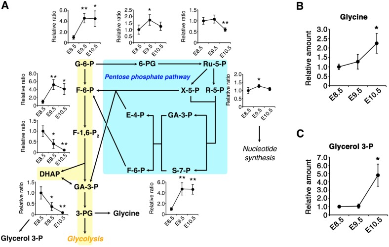 Fig. 6.