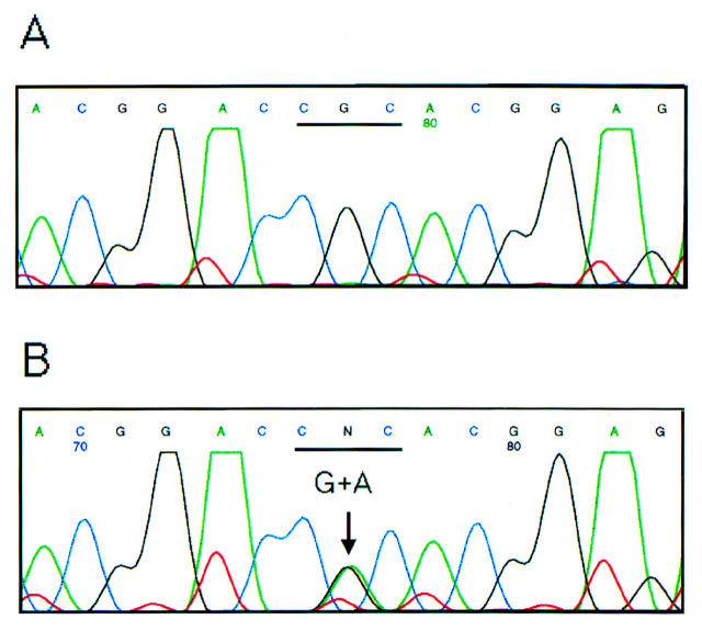 Figure 1  