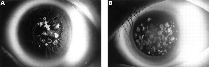 Figure 2  