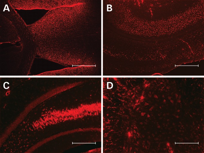 Figure 3.