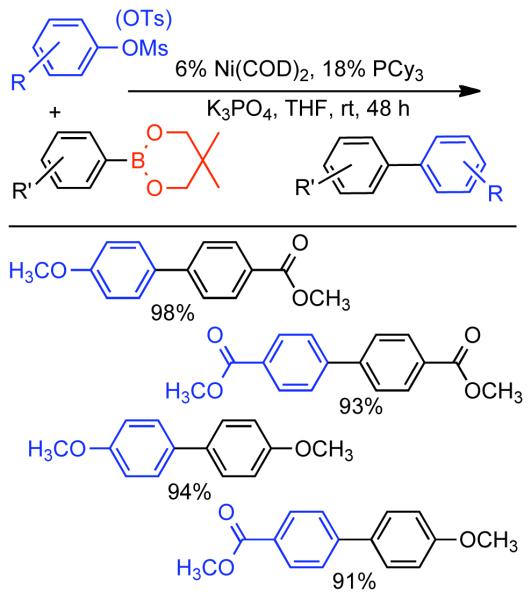 Scheme 53