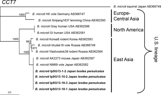 FIG 4