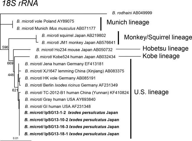 FIG 2