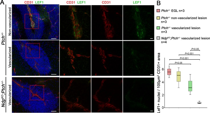 Figure 6—figure supplement 2.