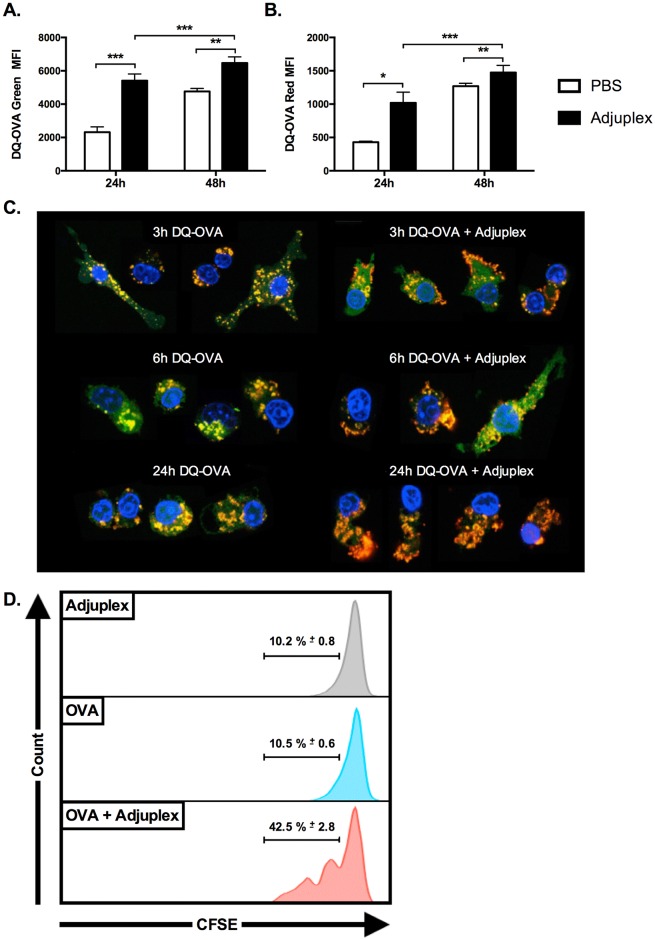 Fig 12