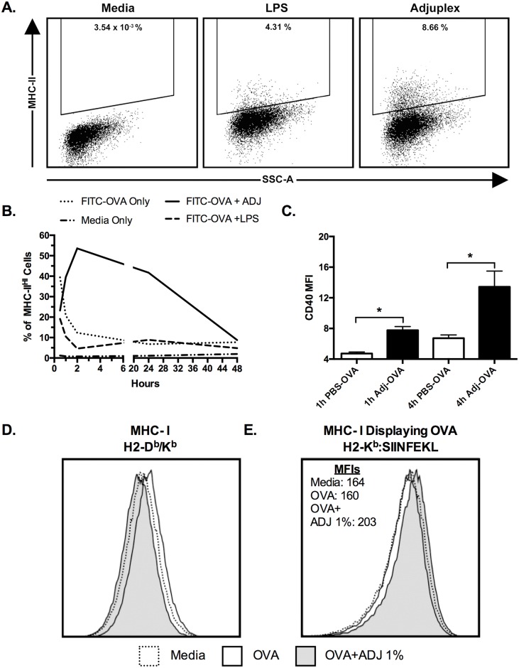 Fig 11