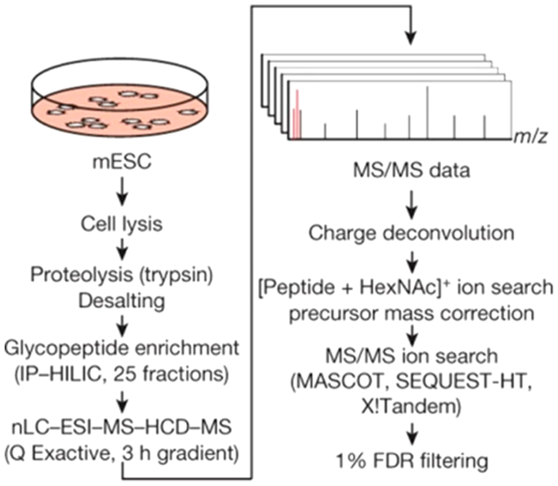 Figure 23.