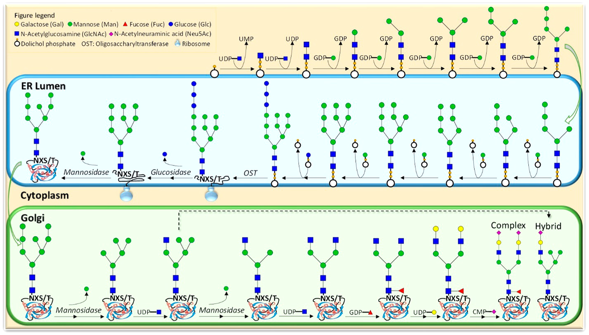 Figure 3.