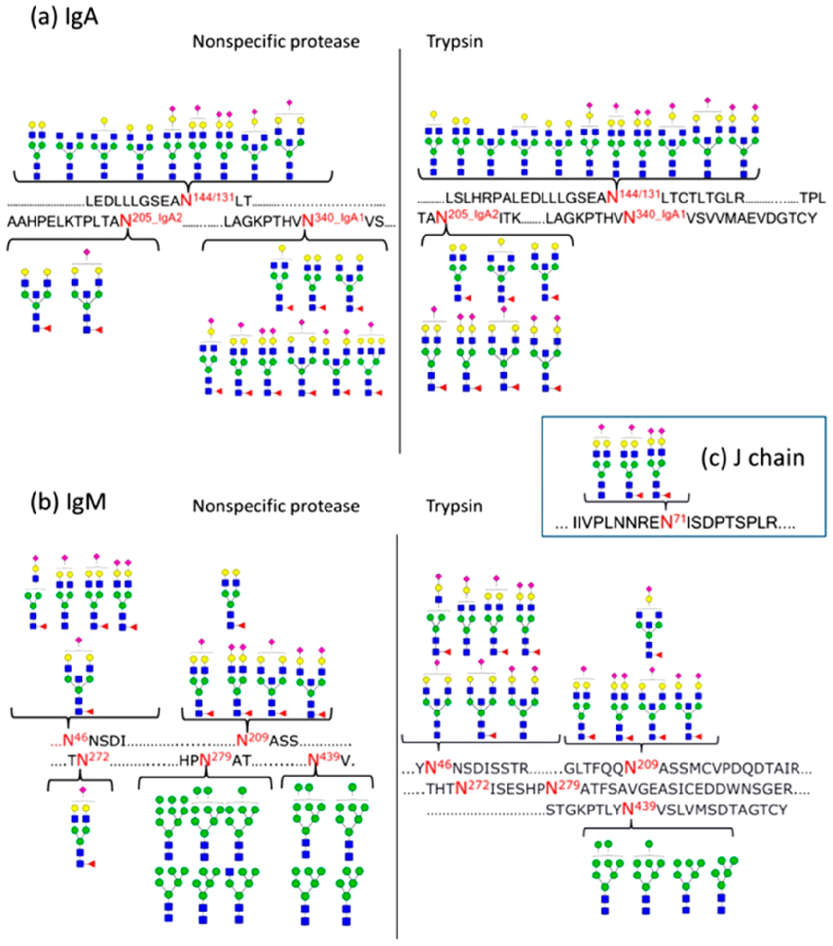 Figure 21.