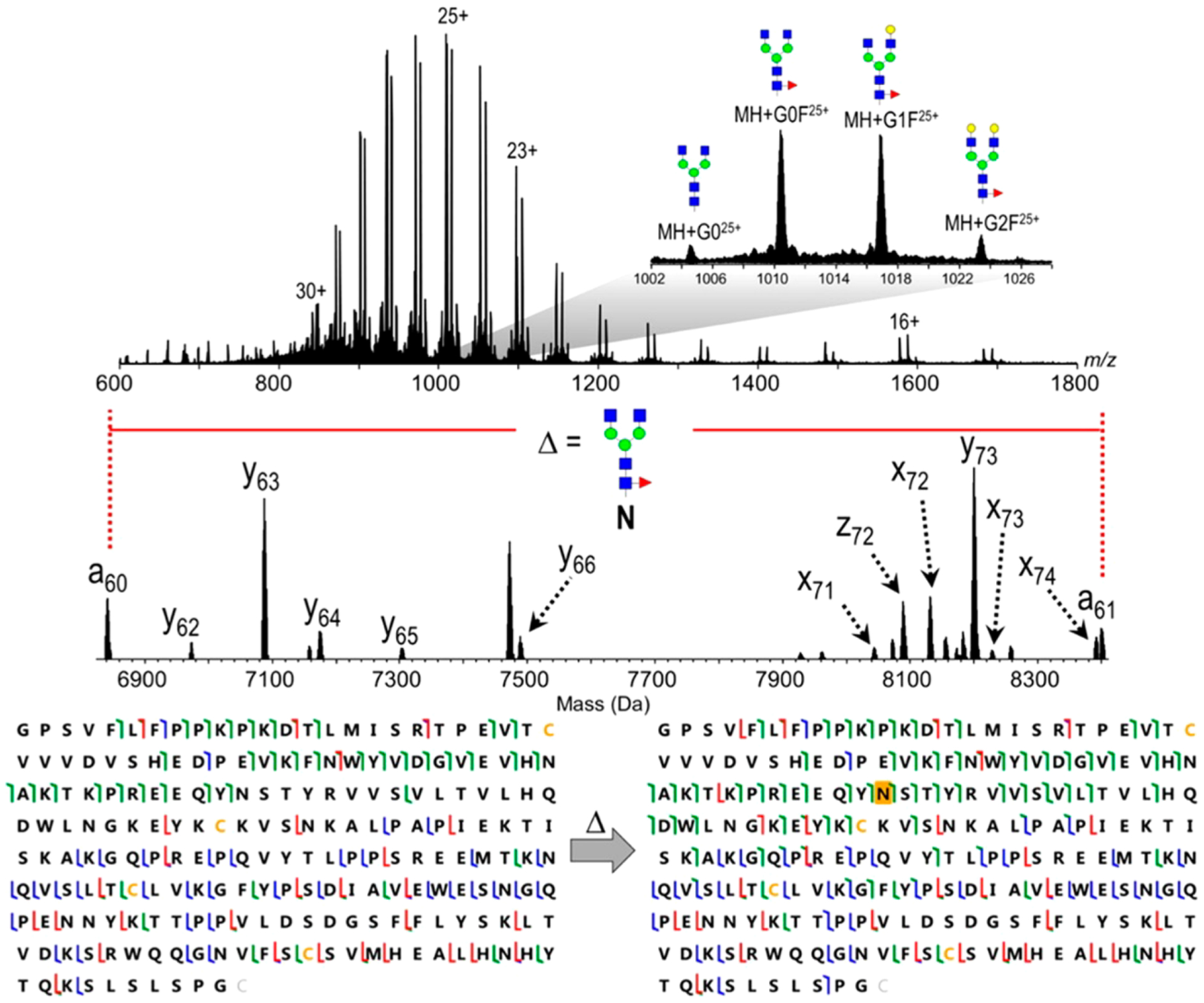 Figure 25.