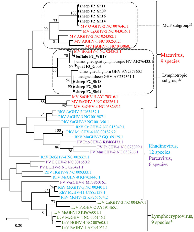 Figure 3.