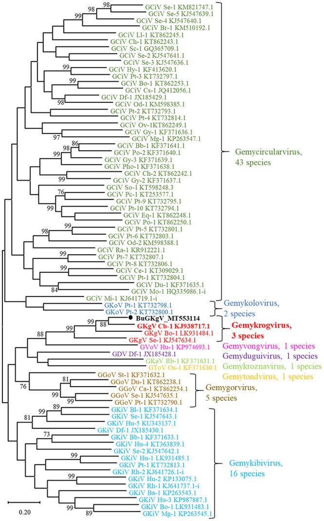 Figure 2.