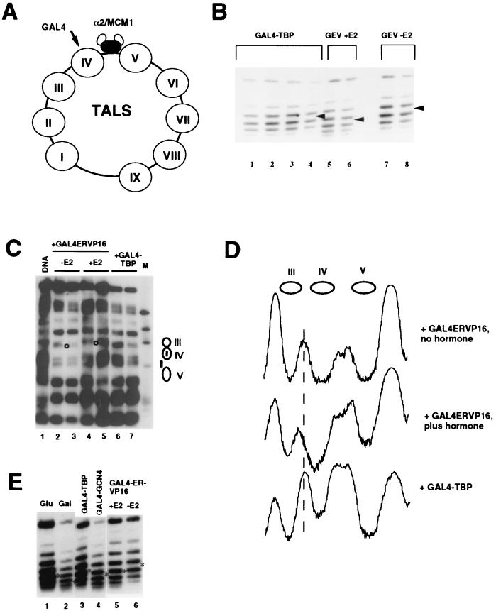 FIG. 5