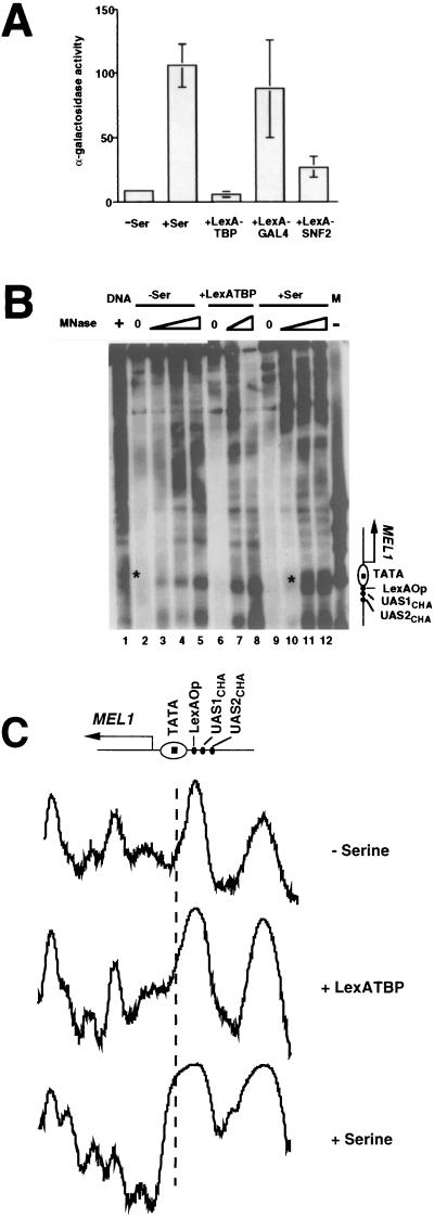 FIG. 3