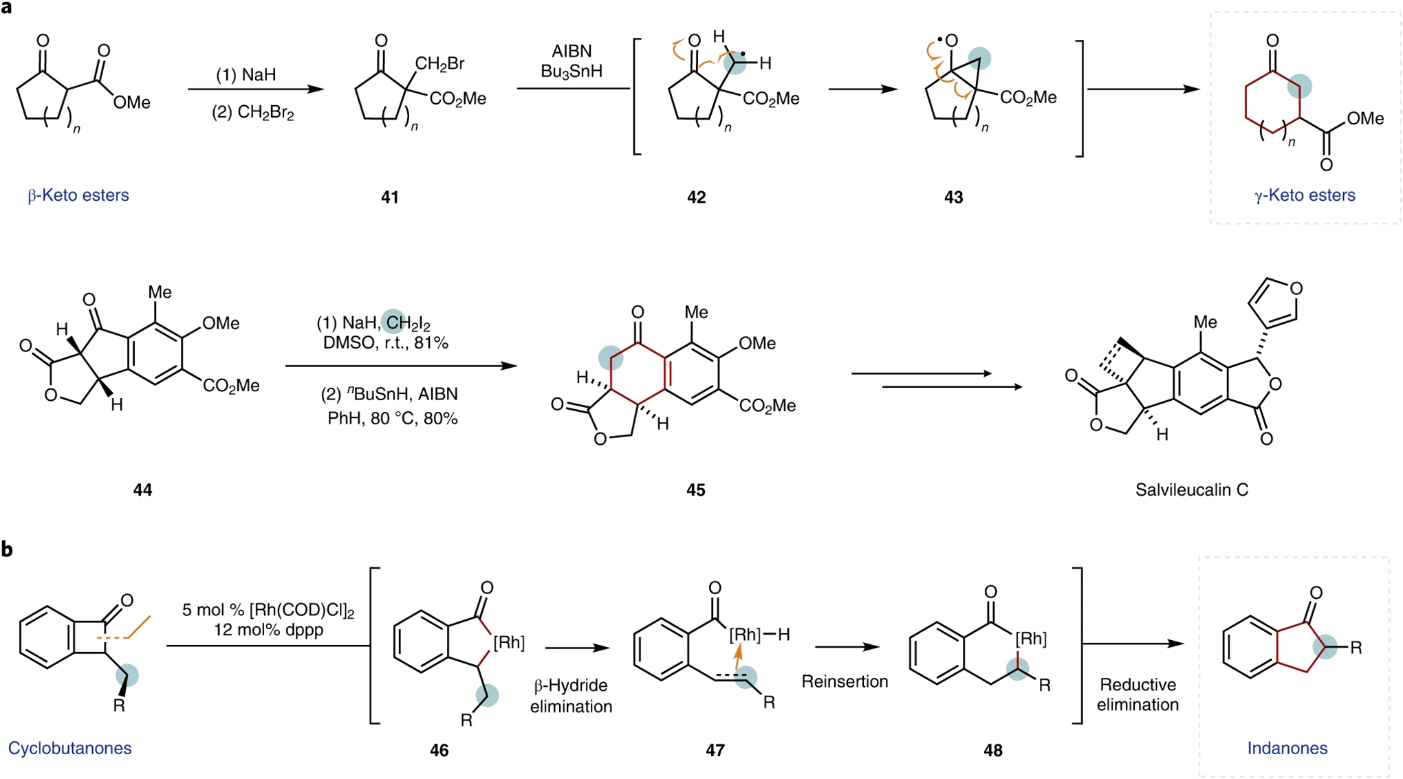 Fig. 6 |