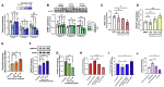 Figure 5