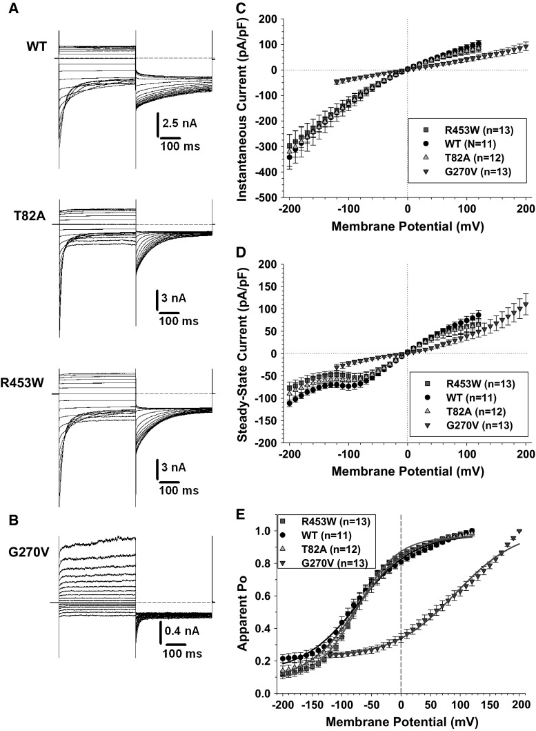 Fig. 3