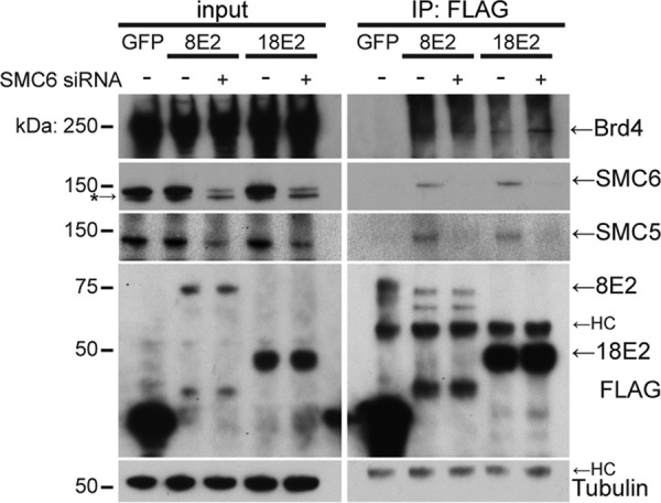 FIG 2