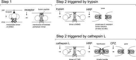 FIG. 7.