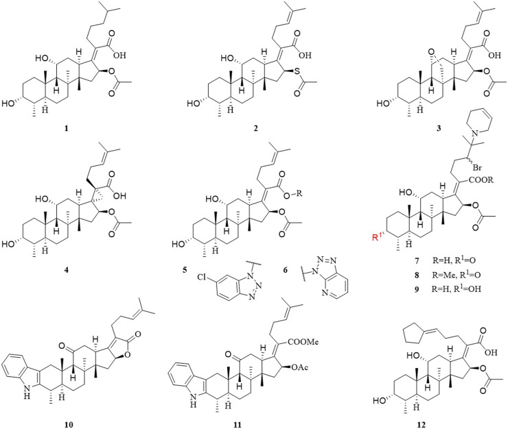 FIGURE 2