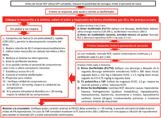 Figura 3