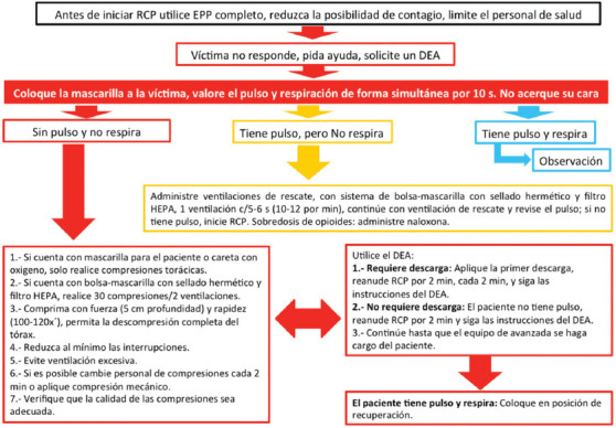 Figura 1