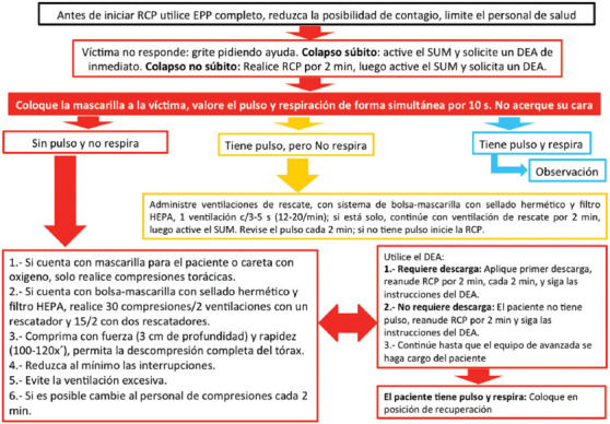 Figura 2