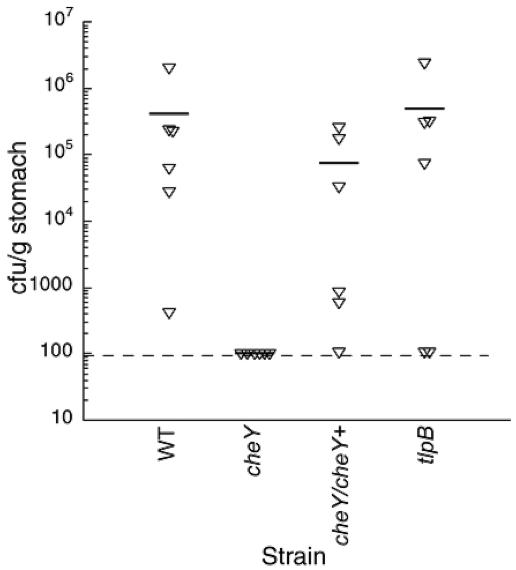 FIG. 2.