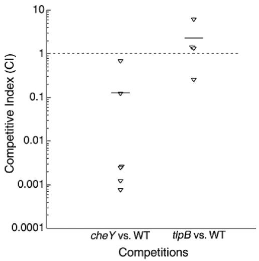 FIG. 3.