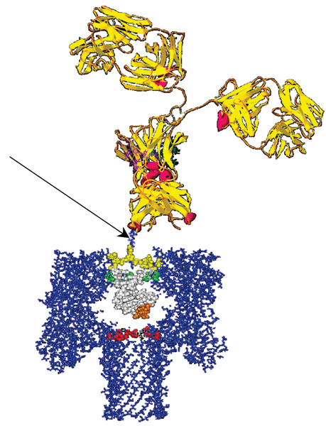 Figure 17