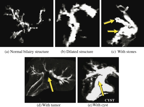 Fig 4