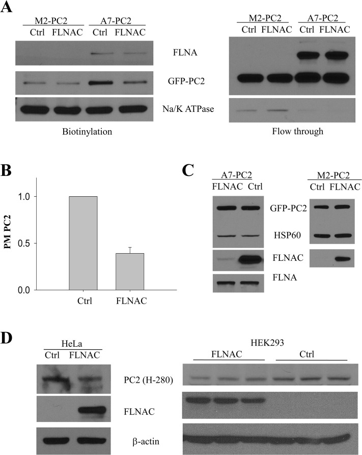 Fig 5