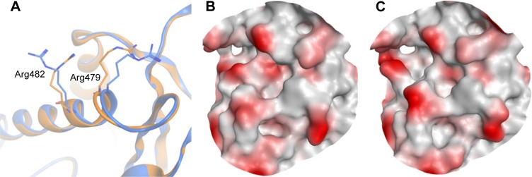 Figure 5