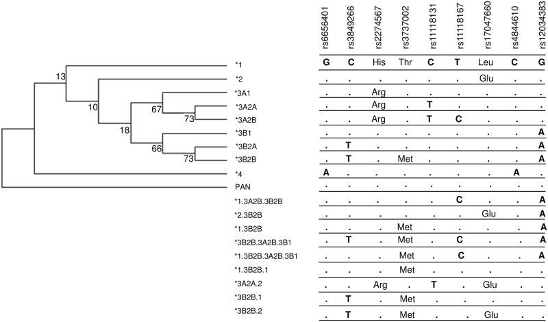 Fig 2